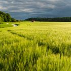 Ein Gewitter zieht auf