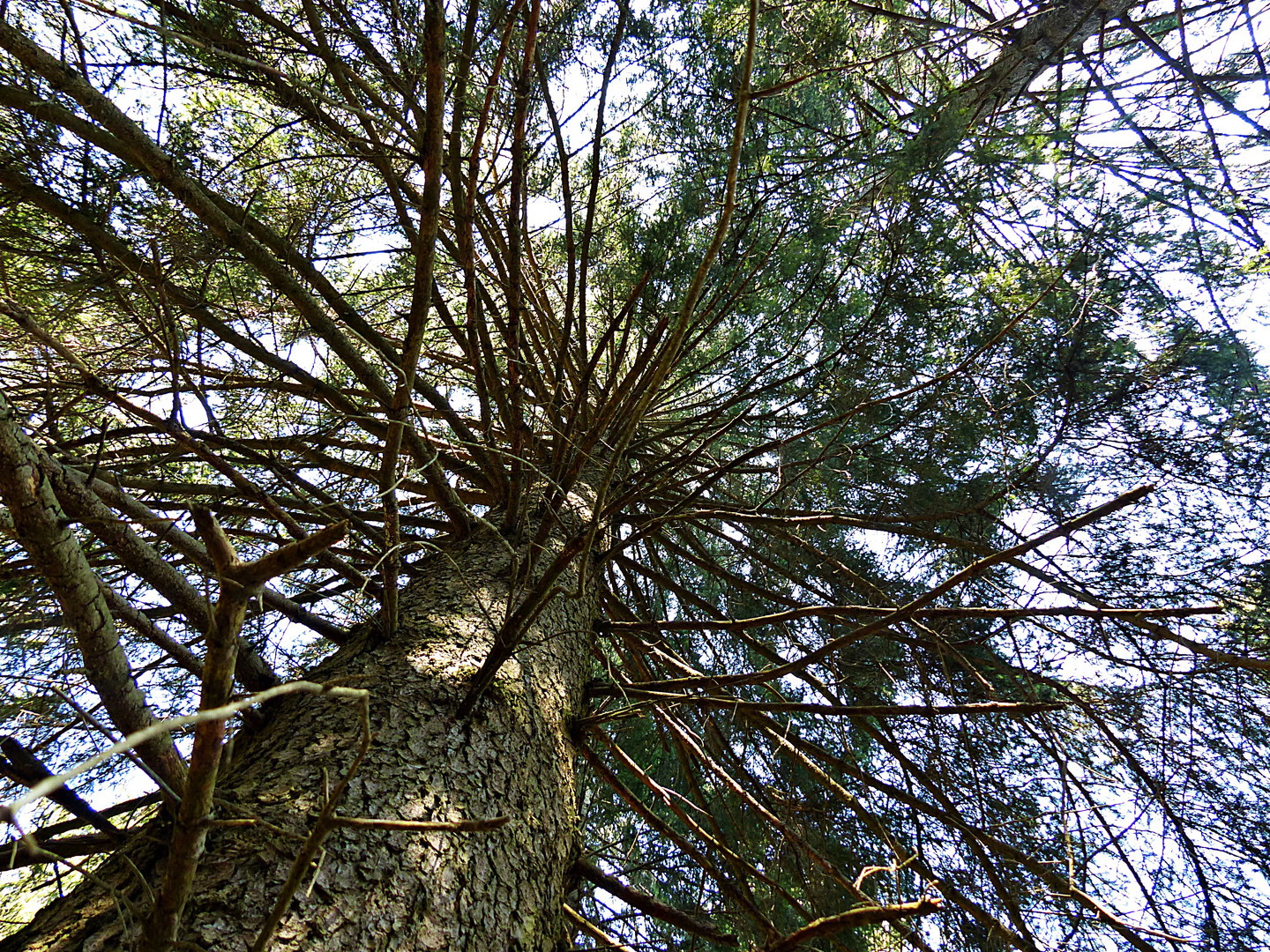 Ein Gigant ragt zum Himmel