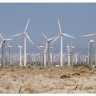 Ein gigantischer Windpark bei Palm Springs ..