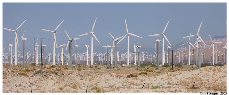 Ein gigantischer Windpark bei Palm Springs ..