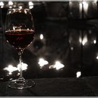 Ein Glas Wein am Gartenteich