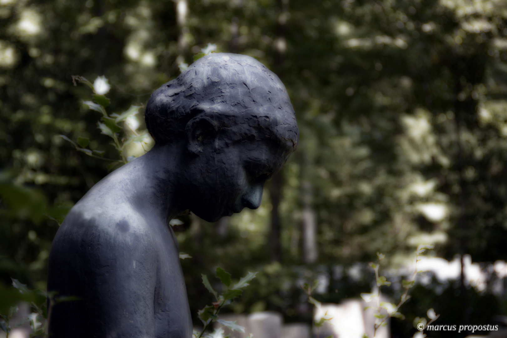 Ein Gleiches Foto & Bild architektur, friedhöfe, engel und co. Bilder auf Ein Gleiches Foto & Bild architektur, friedhöfe, engel und co. Bilder auf