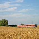 Ein (Gleis)Bett im Kornfeld