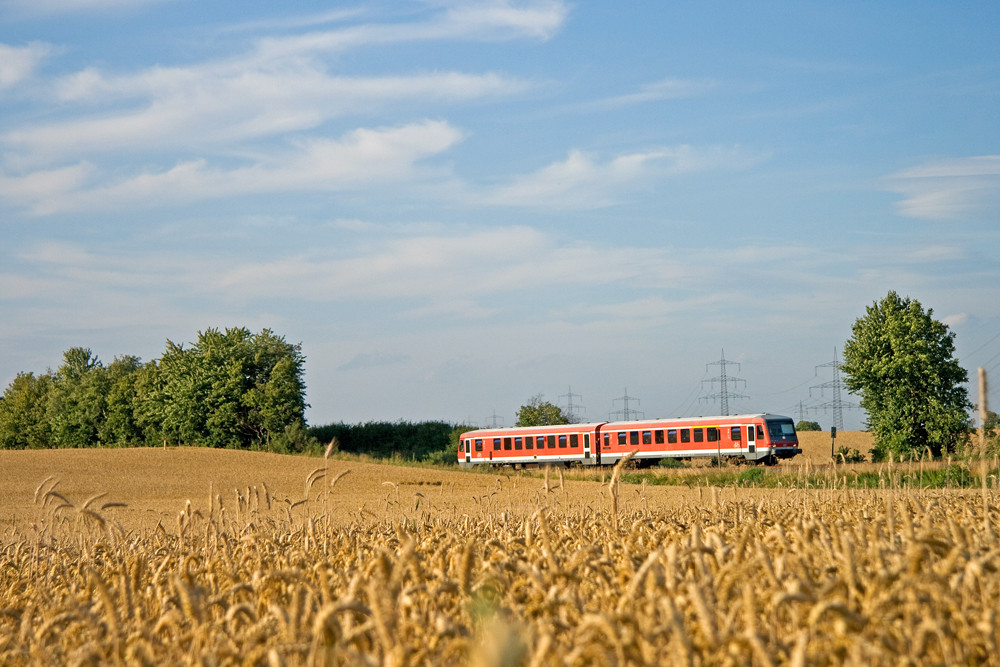 Ein (Gleis)Bett im Kornfeld