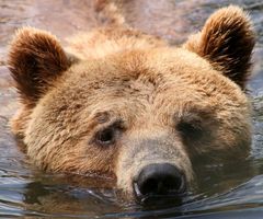 Ein Glück das Wasser kühlt ab