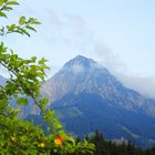 Ein glücklicher Sommermorgen in Oberstdorf