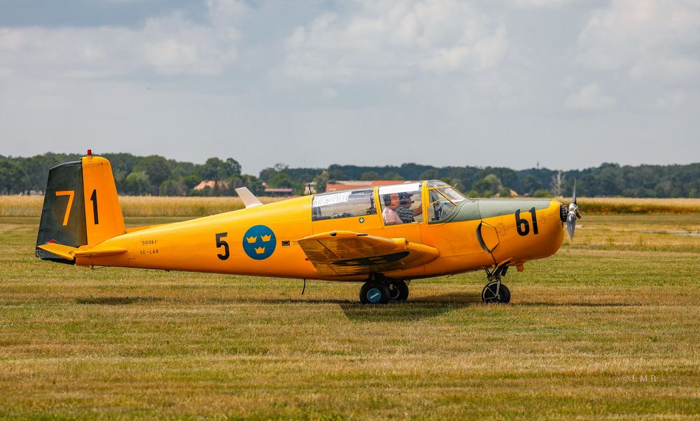 Ein glückliches Flieger-Paar