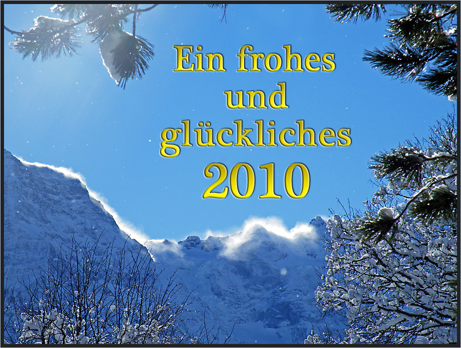 Ein glückliches Jahr 2010