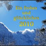 Ein glückliches Jahr 2010