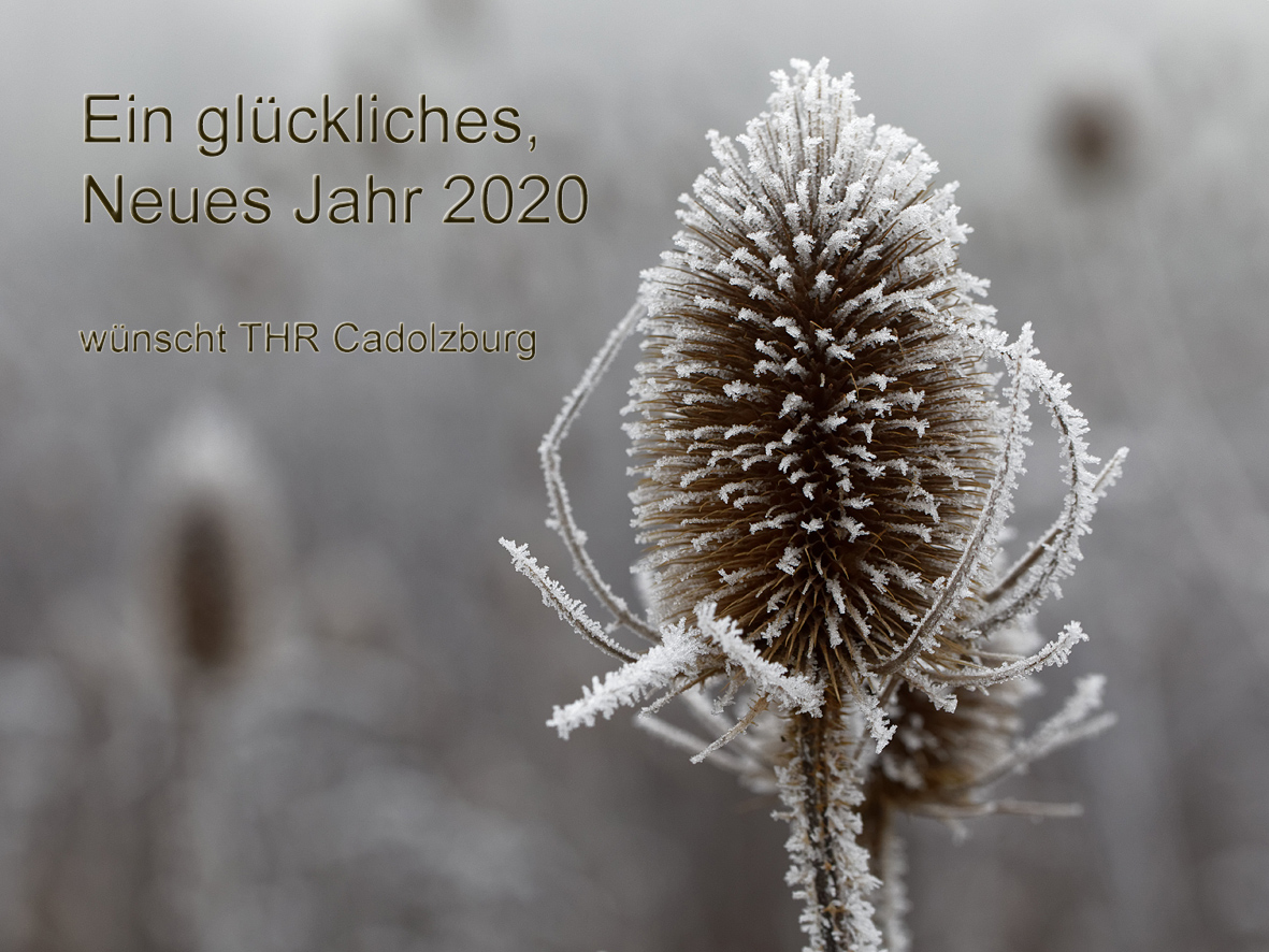 Ein glückliches Jahr 2020