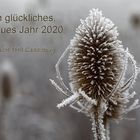 Ein glückliches Jahr 2020