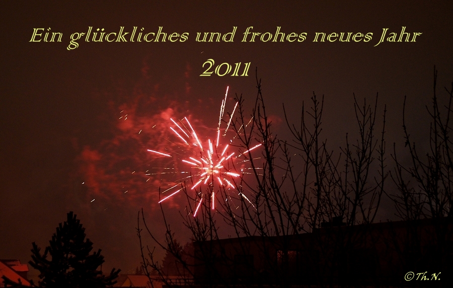 Ein glückliches und frohes neues Jahr 2011