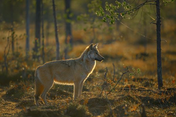 Ein Glückstag im September