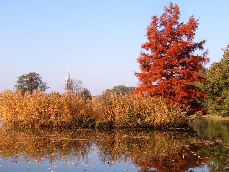 Ein goldenener Herbsttag in Wörlitz