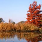 Ein goldenener Herbsttag in Wörlitz