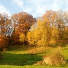 Ein goldener Herbst...