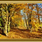 Ein goldener Herbst braucht einen goldenen Rahmen..... 