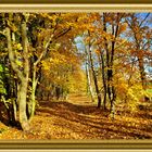 Ein goldener Herbst braucht einen goldenen Rahmen..... 