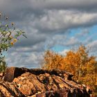 ein goldener Herbsttag