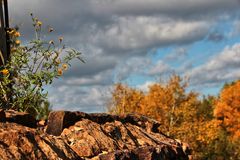 ein goldener Herbsttag