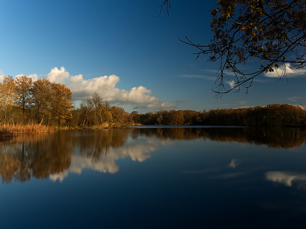 Ein goldener Herbsttag