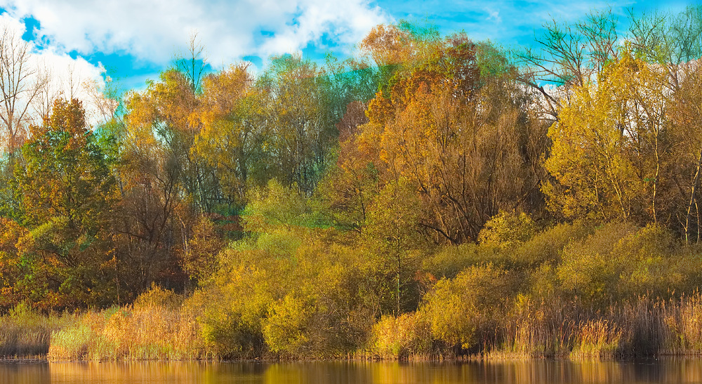 Ein goldener Herbsttag