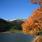 Ein goldener Herbsttag am Sihlsee