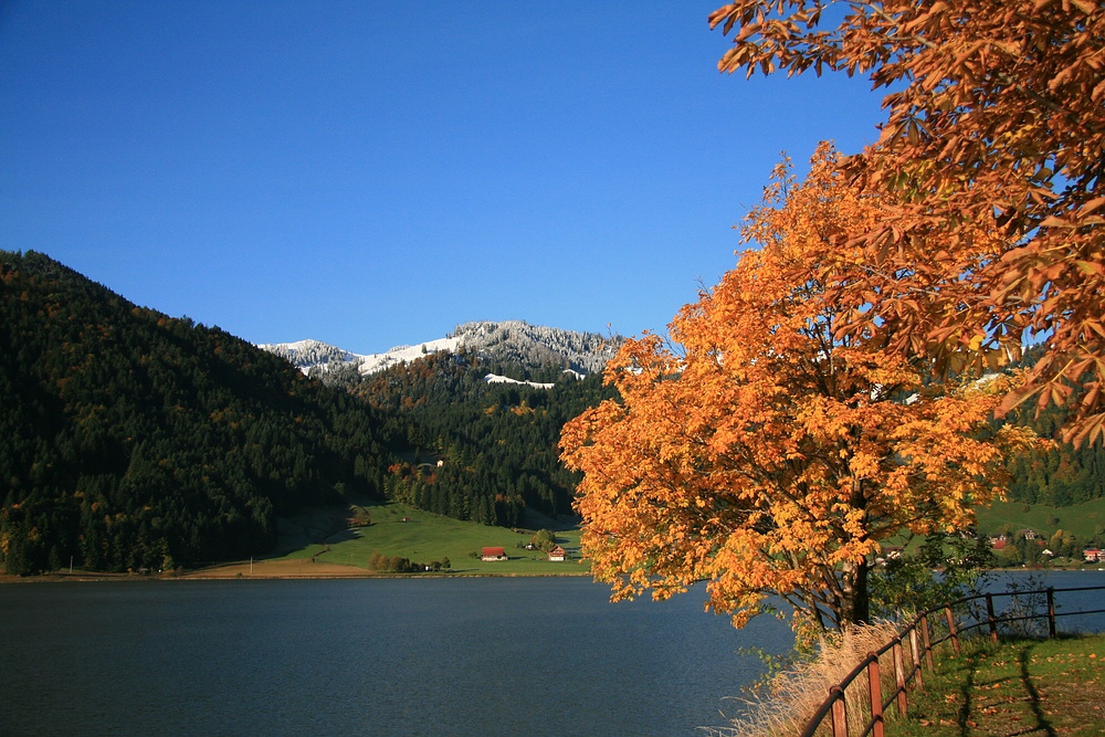 Ein goldener Herbsttag am Sihlsee