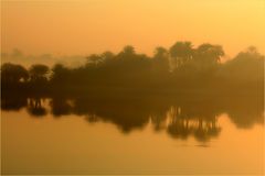 Ein goldener Morgen