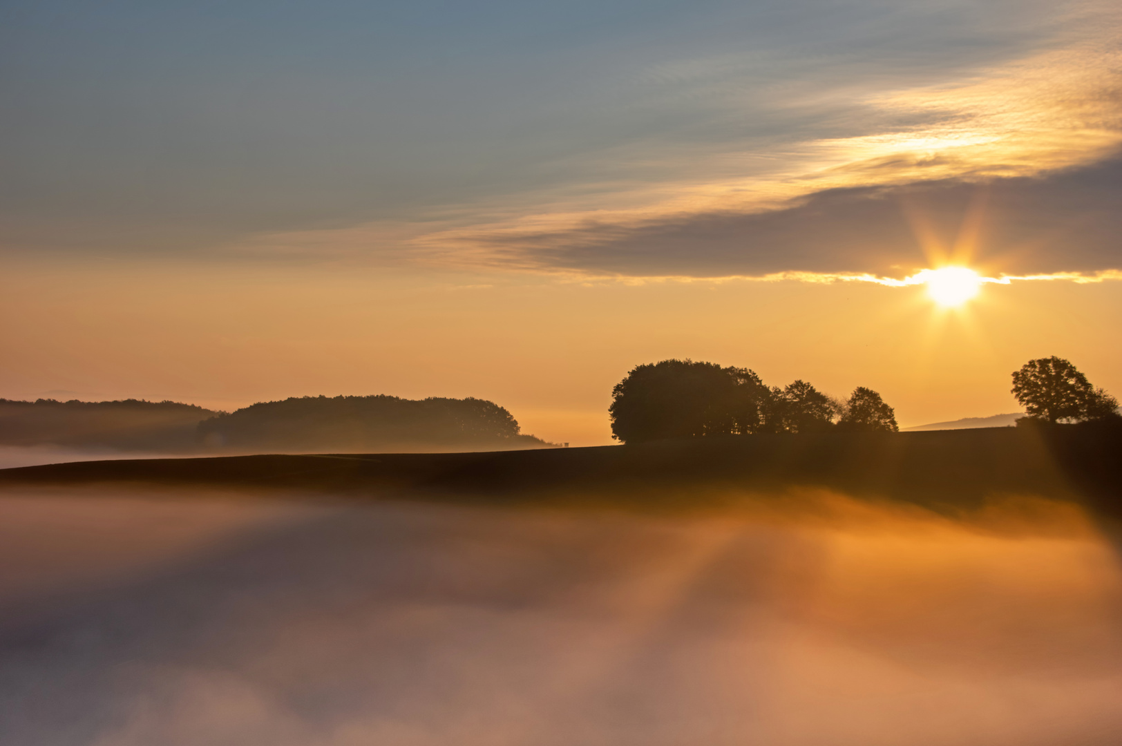 Ein goldener Morgen