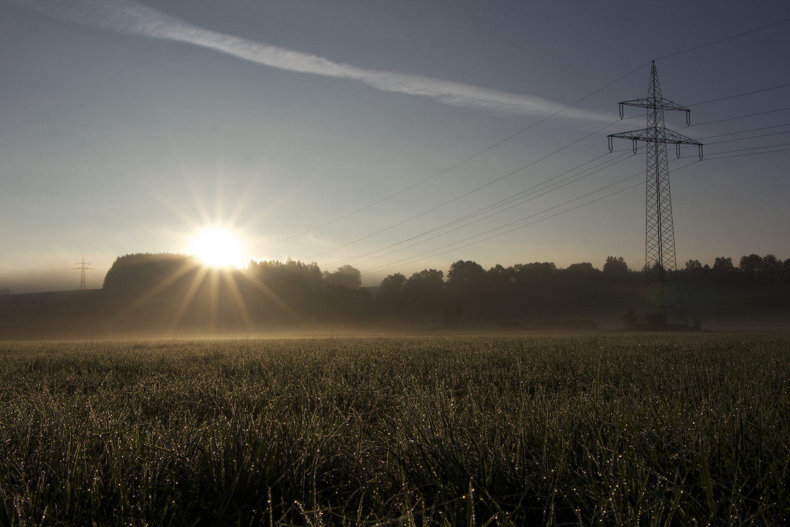 ein goldener Morgen