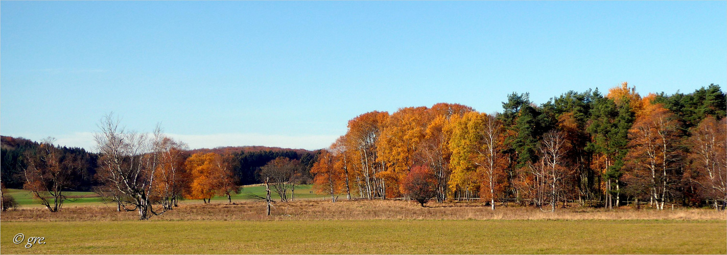 Ein goldener Novembertag