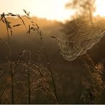 ein goldener oktobermorgen