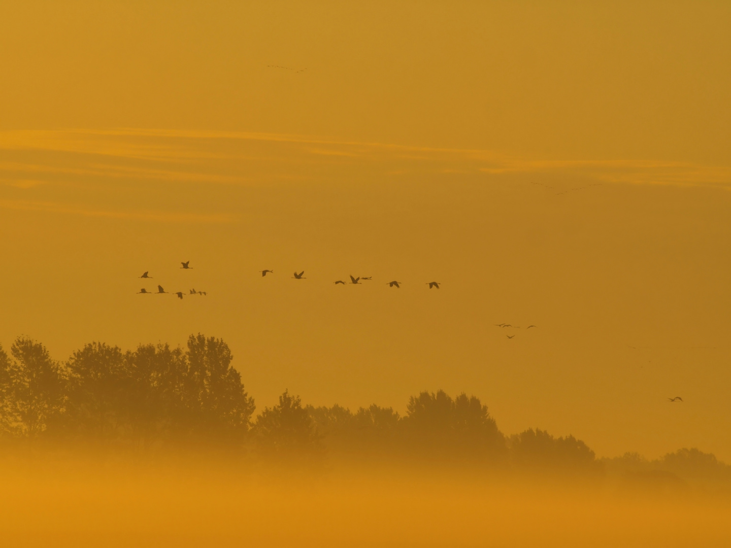 Ein goldener Oktobermorgen...