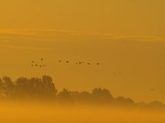 Ein goldener Oktobermorgen...