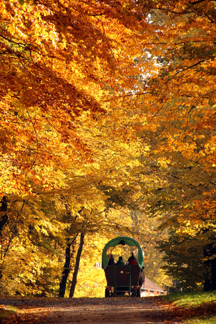 Ein goldener Oktobertag