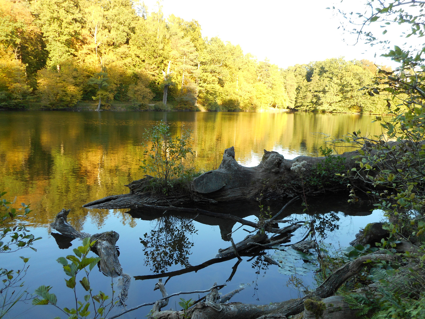 Ein goldener Oktobertag am See