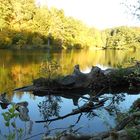 Ein goldener Oktobertag am See