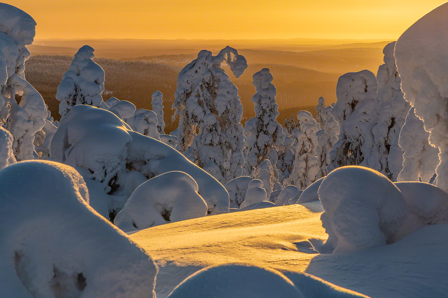 Ein goldener Wintertag