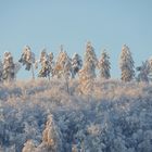 ein goldiges Wintermärchen