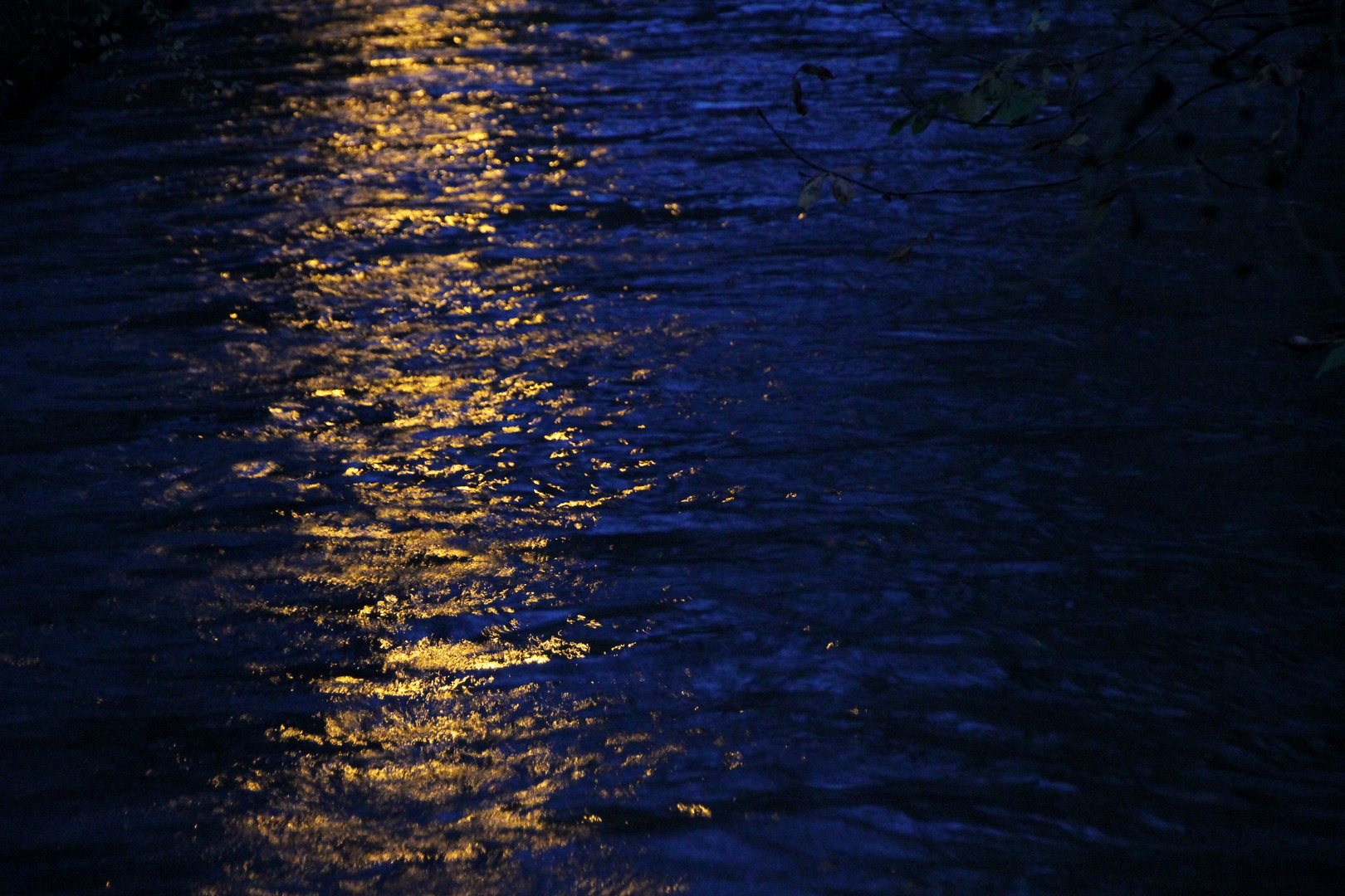 Ein Goldstreifen auf der Isar