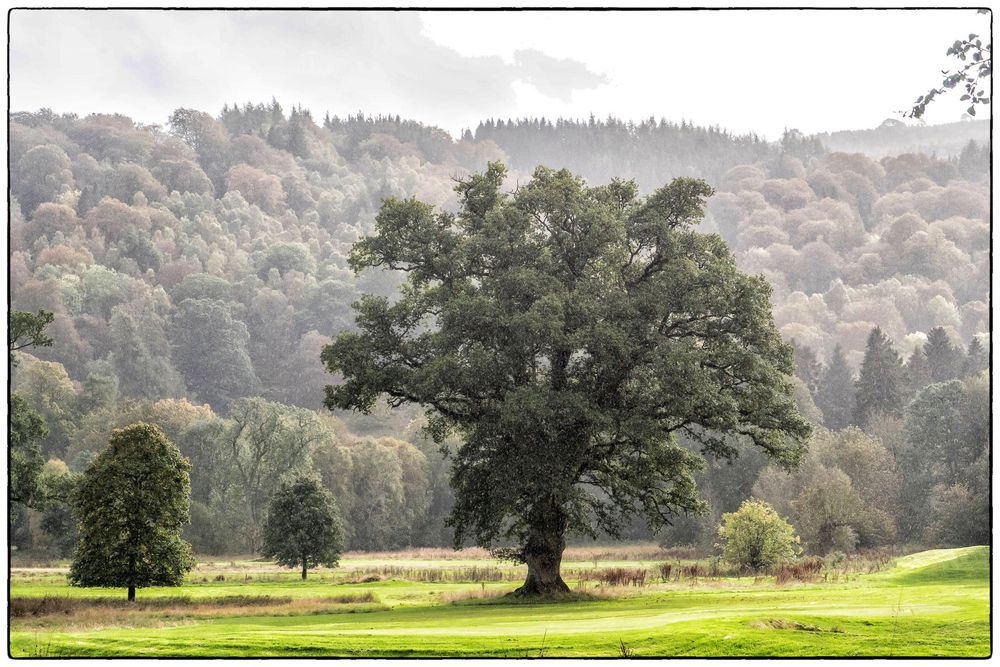 Ein Golfplatz