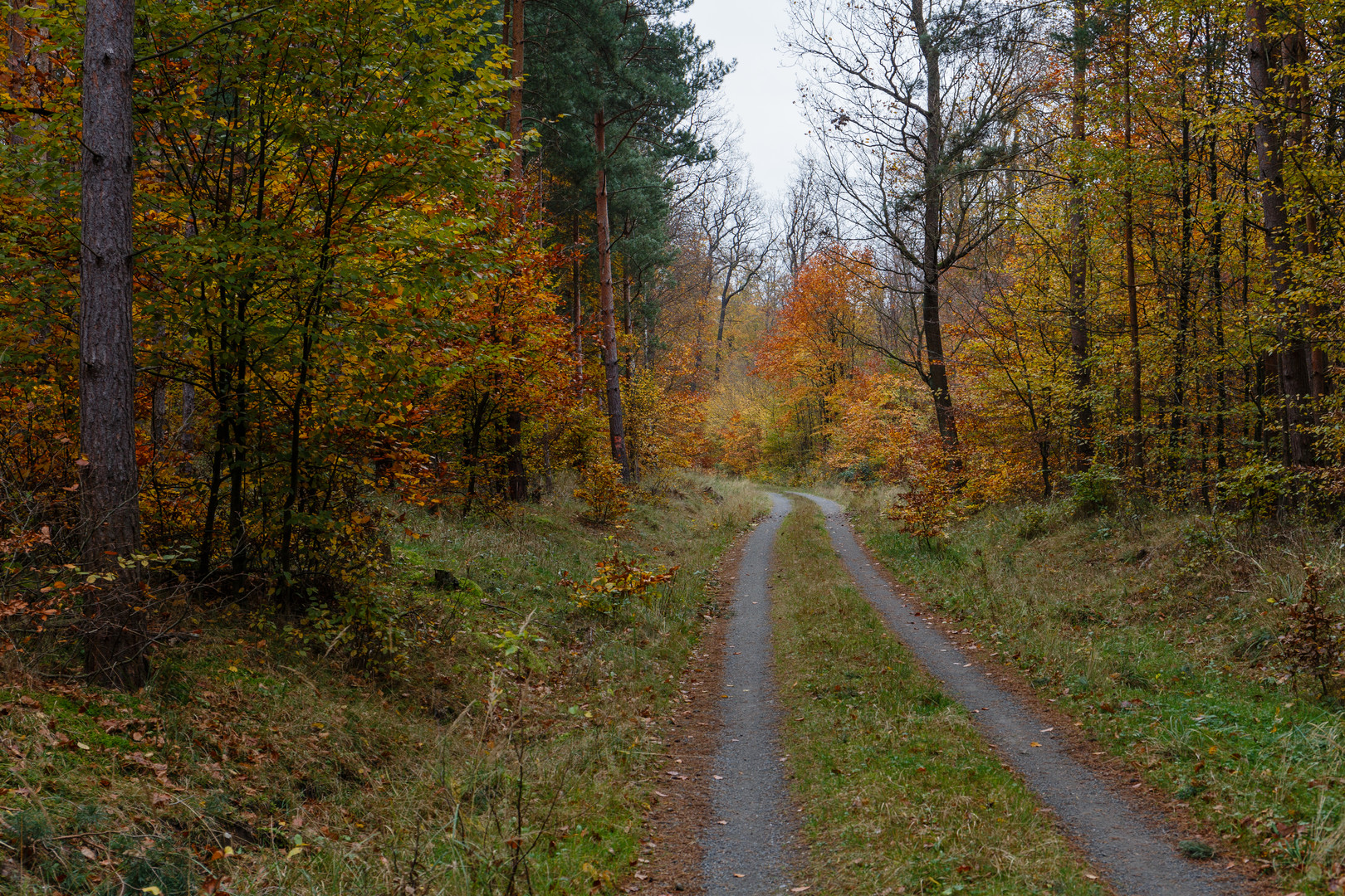 Ein grauer Herbsttag