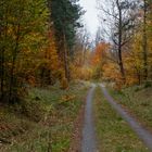 Ein grauer Herbsttag