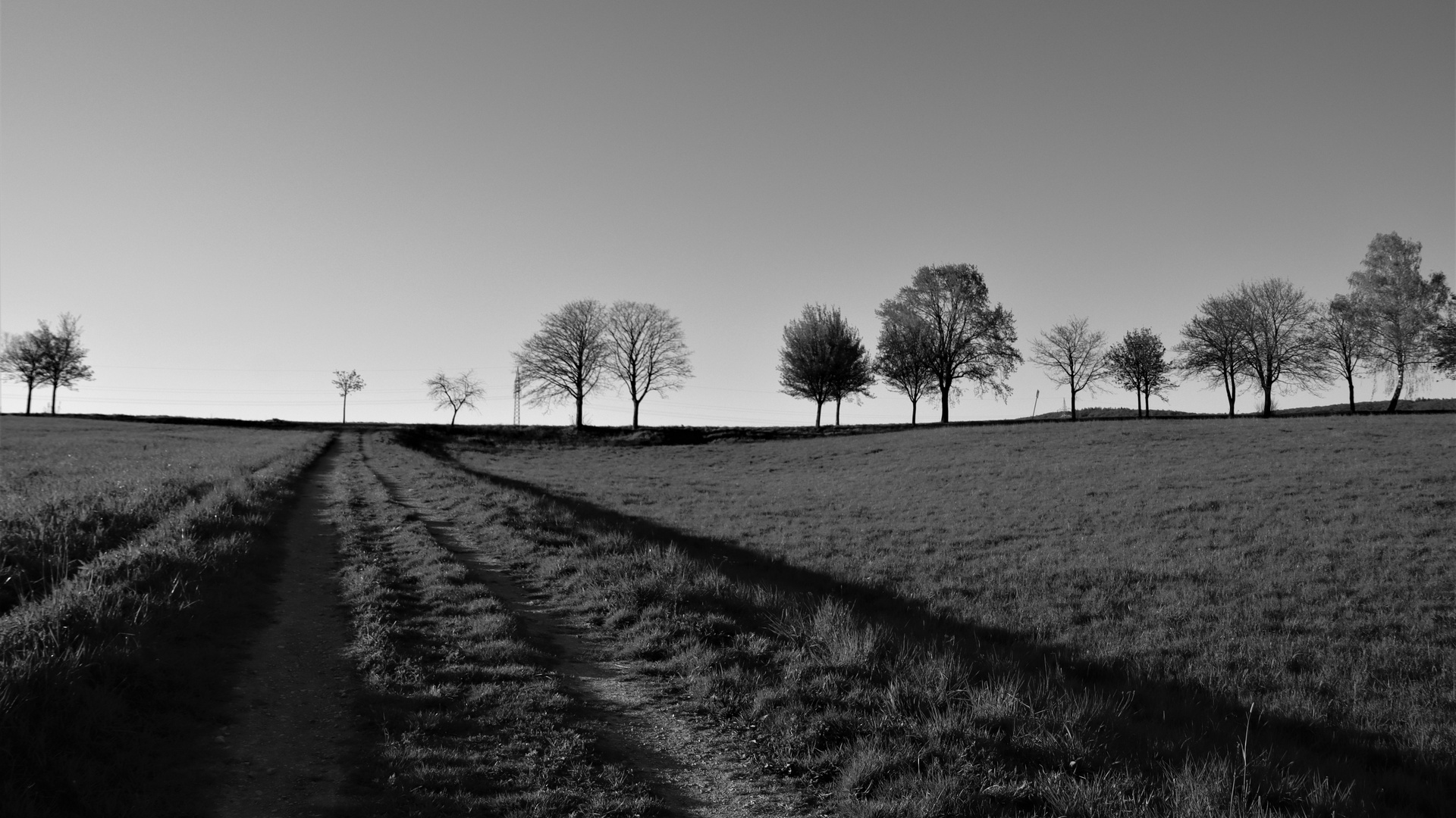 Ein grauer Herbsttag