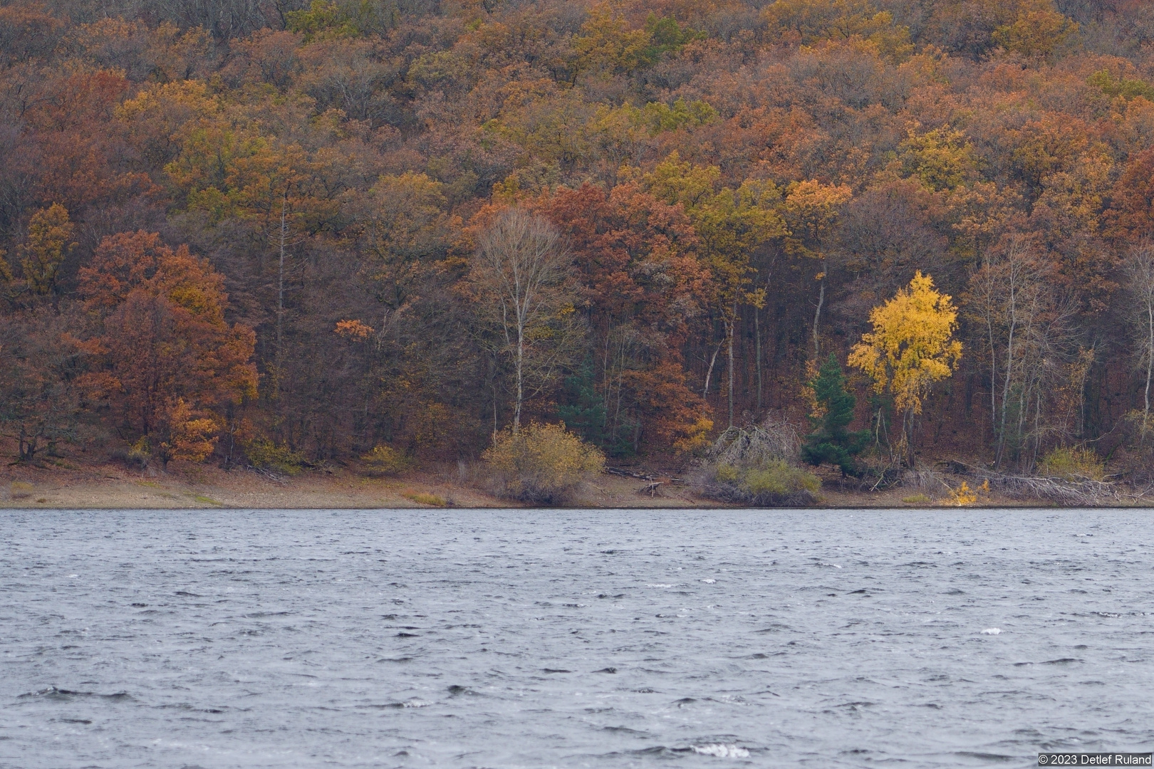 Ein grauer Herbsttag # 2