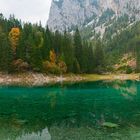 Ein grauer Herbsttag am Grünen See