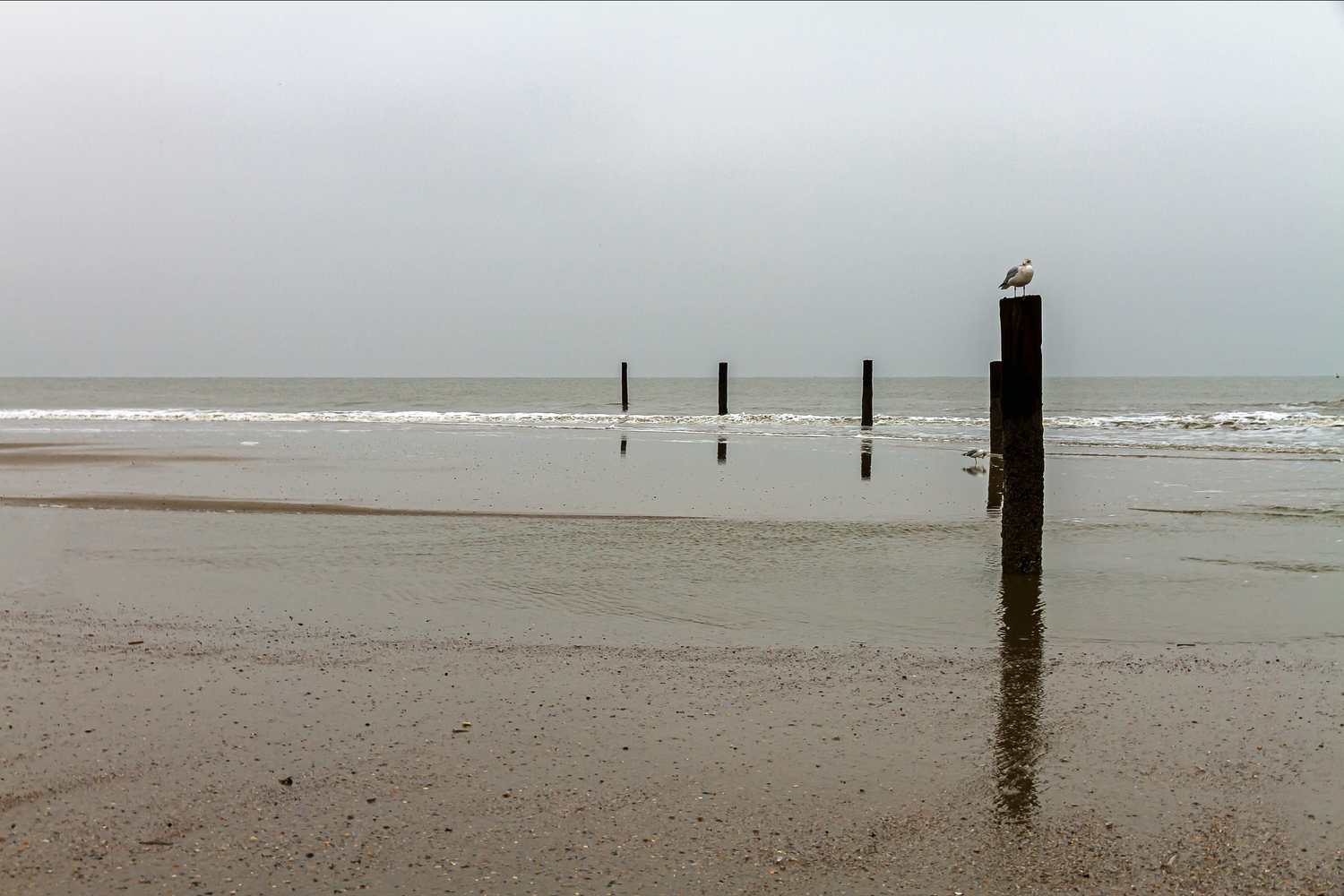 Ein grauer Tag am Meer