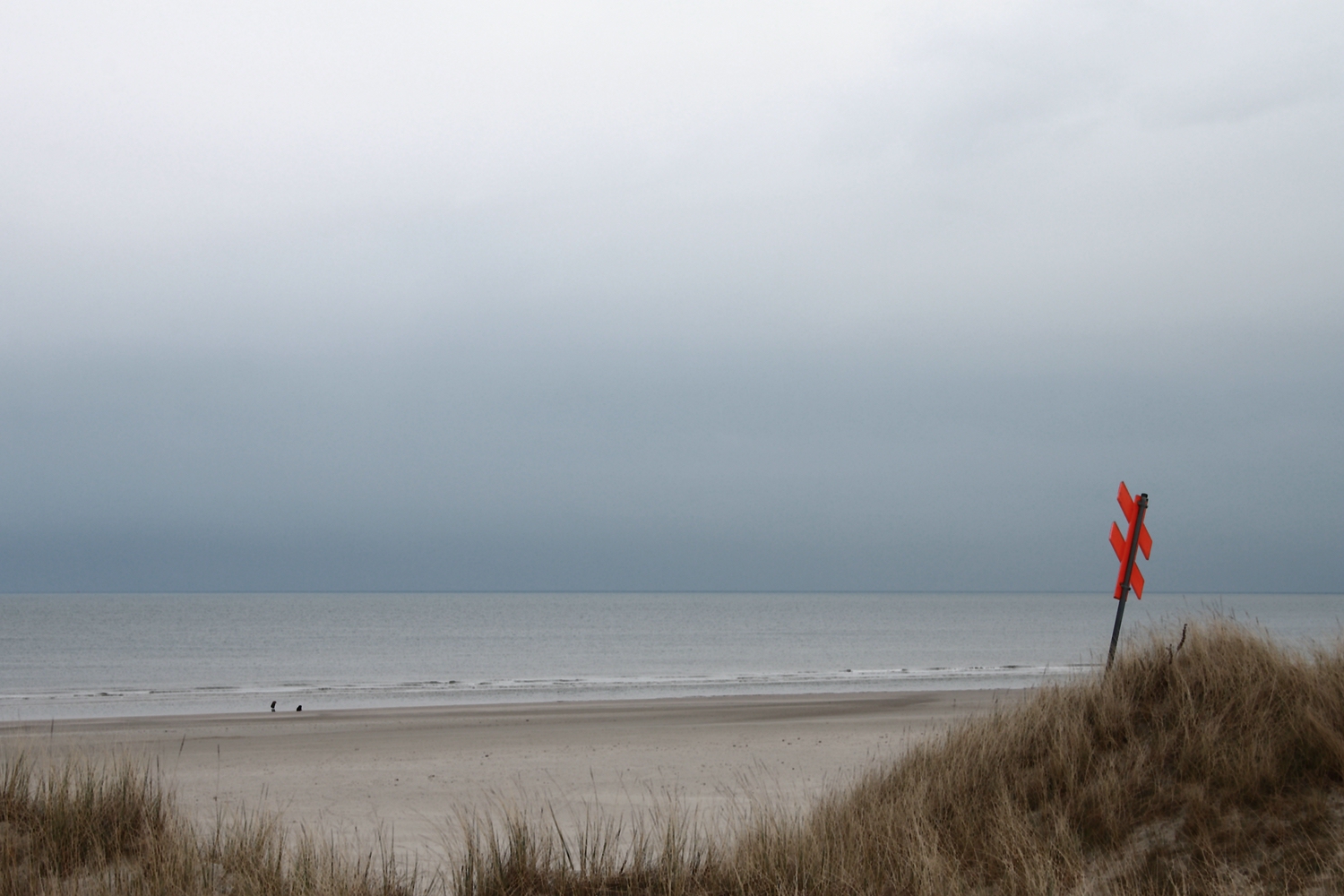 Ein grauer Tag am Meer