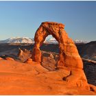 Ein graziler Bogen - Delicate Arch